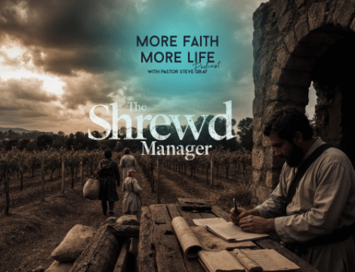 Deciphering the Shrewd Manager